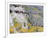 Colorado, Uncompahgre National Forest-John Barger-Framed Photographic Print