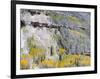 Colorado, Uncompahgre National Forest-John Barger-Framed Photographic Print