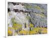 Colorado, Uncompahgre National Forest-John Barger-Framed Photographic Print