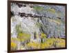 Colorado, Uncompahgre National Forest-John Barger-Framed Photographic Print