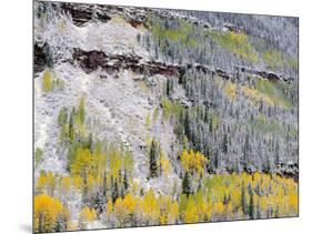 Colorado, Uncompahgre National Forest-John Barger-Mounted Photographic Print