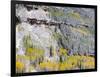 Colorado, Uncompahgre National Forest-John Barger-Framed Photographic Print