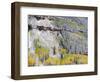 Colorado, Uncompahgre National Forest-John Barger-Framed Photographic Print