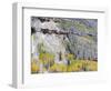 Colorado, Uncompahgre National Forest-John Barger-Framed Photographic Print