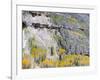 Colorado, Uncompahgre National Forest-John Barger-Framed Photographic Print