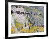 Colorado, Uncompahgre National Forest-John Barger-Framed Photographic Print