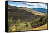 Colorado Valley-Debra Van Swearingen-Framed Stretched Canvas