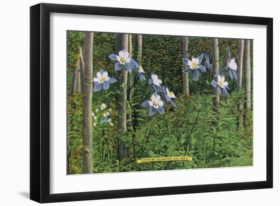 Colorado, View of Blooming Columbines and Aspen Trees-Lantern Press-Framed Art Print