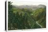 Colorado, View of Clear Creek Canyon from Colorow Point-Lantern Press-Stretched Canvas