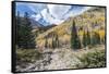 Colorado, White River National Forest, Autumn Color on Maroon Creek Trail-Rob Tilley-Framed Stretched Canvas