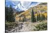 Colorado, White River National Forest, Autumn Color on Maroon Creek Trail-Rob Tilley-Stretched Canvas