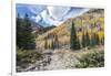 Colorado, White River National Forest, Autumn Color on Maroon Creek Trail-Rob Tilley-Framed Photographic Print