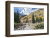 Colorado, White River National Forest, Autumn Color on Maroon Creek Trail-Rob Tilley-Framed Photographic Print