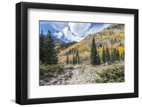 Colorado, White River National Forest, Autumn Color on Maroon Creek Trail-Rob Tilley-Framed Photographic Print