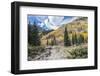 Colorado, White River National Forest, Autumn Color on Maroon Creek Trail-Rob Tilley-Framed Photographic Print