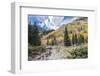 Colorado, White River National Forest, Autumn Color on Maroon Creek Trail-Rob Tilley-Framed Photographic Print