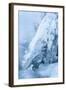 Colorado, Woodland Park. Ice and Frost Formation on Small Waterfall-Don Grall-Framed Photographic Print