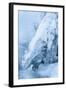 Colorado, Woodland Park. Ice and Frost Formation on Small Waterfall-Don Grall-Framed Photographic Print