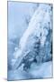 Colorado, Woodland Park. Ice and Frost Formation on Small Waterfall-Don Grall-Mounted Photographic Print