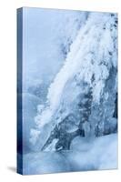 Colorado, Woodland Park. Ice and Frost Formation on Small Waterfall-Don Grall-Stretched Canvas