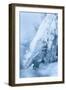 Colorado, Woodland Park. Ice and Frost Formation on Small Waterfall-Don Grall-Framed Photographic Print