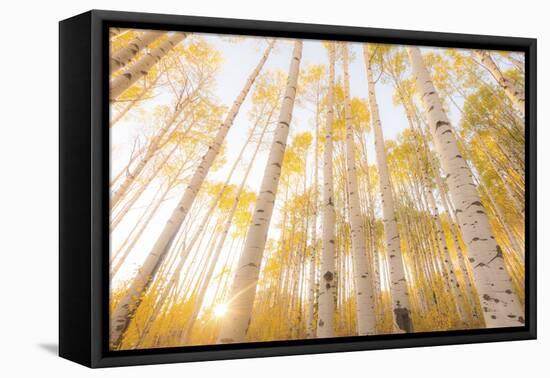 Colorado-Dan Ballard-Framed Stretched Canvas