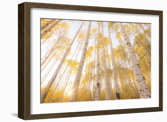 Colorado-Dan Ballard-Framed Photographic Print