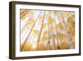 Colorado-Dan Ballard-Framed Photographic Print