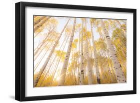 Colorado-Dan Ballard-Framed Photographic Print