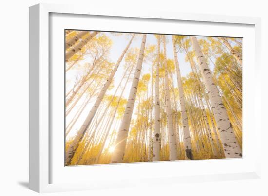 Colorado-Dan Ballard-Framed Photographic Print