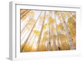 Colorado-Dan Ballard-Framed Photographic Print