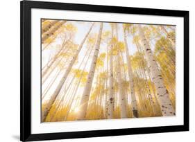 Colorado-Dan Ballard-Framed Photographic Print