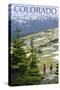 Colordao - Trail Ridge Road-Lantern Press-Stretched Canvas