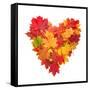 Colored Autumn Leaves In Heart Shape Isolated On White Background-Jag_cz-Framed Stretched Canvas