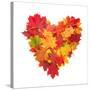 Colored Autumn Leaves In Heart Shape Isolated On White Background-Jag_cz-Stretched Canvas