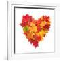 Colored Autumn Leaves In Heart Shape Isolated On White Background-Jag_cz-Framed Art Print