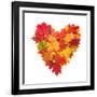 Colored Autumn Leaves In Heart Shape Isolated On White Background-Jag_cz-Framed Art Print