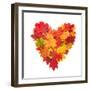 Colored Autumn Leaves In Heart Shape Isolated On White Background-Jag_cz-Framed Art Print