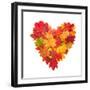 Colored Autumn Leaves In Heart Shape Isolated On White Background-Jag_cz-Framed Art Print