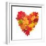 Colored Autumn Leaves In Heart Shape Isolated On White Background-Jag_cz-Framed Art Print