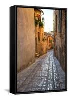 Colored Buildings and Stores Along a Back Street of Spello-Terry Eggers-Framed Stretched Canvas