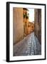 Colored Buildings and Stores Along a Back Street of Spello-Terry Eggers-Framed Photographic Print