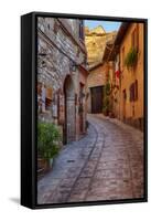 Colored Buildings and Stores Along a Back Street of Spello-Terry Eggers-Framed Stretched Canvas