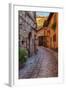 Colored Buildings and Stores Along a Back Street of Spello-Terry Eggers-Framed Photographic Print