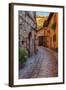 Colored Buildings and Stores Along a Back Street of Spello-Terry Eggers-Framed Photographic Print