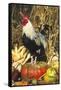 Colored Dorking Bantam Rooster-Lynn M^ Stone-Framed Stretched Canvas