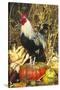 Colored Dorking Bantam Rooster-Lynn M^ Stone-Stretched Canvas