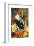 Colored Dorking Bantam Rooster-Lynn M^ Stone-Framed Photographic Print