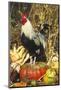 Colored Dorking Bantam Rooster-Lynn M^ Stone-Mounted Photographic Print