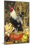 Colored Dorking Bantam Rooster-Lynn M^ Stone-Mounted Photographic Print